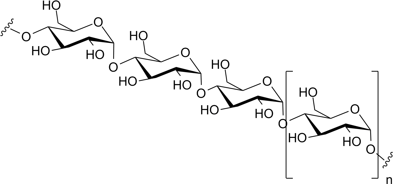Many Researchers Are Coming Up With Ways To Break Down - Polysaccharide Structure (1560x750), Png Download
