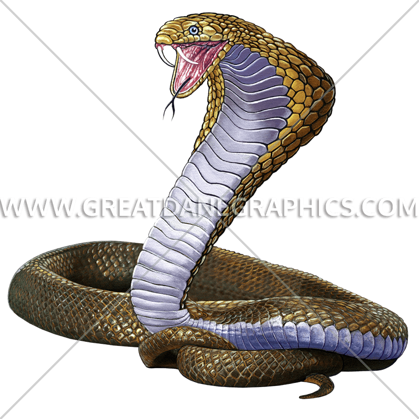 Mascot Production Ready Artwork For T Shirt - King Cobra Snake Coiled Ready For Attack Spare Tire (825x825), Png Download