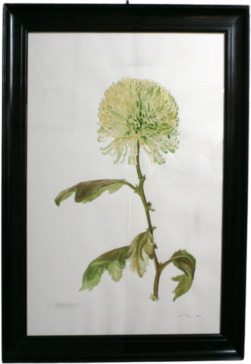 Framed Watercolour, 34 X 24 Inches, £195 (750x750), Png Download