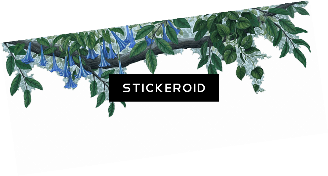 Jungle Border Nature - Jungle Borders Transparent Png (1074x577), Png Download