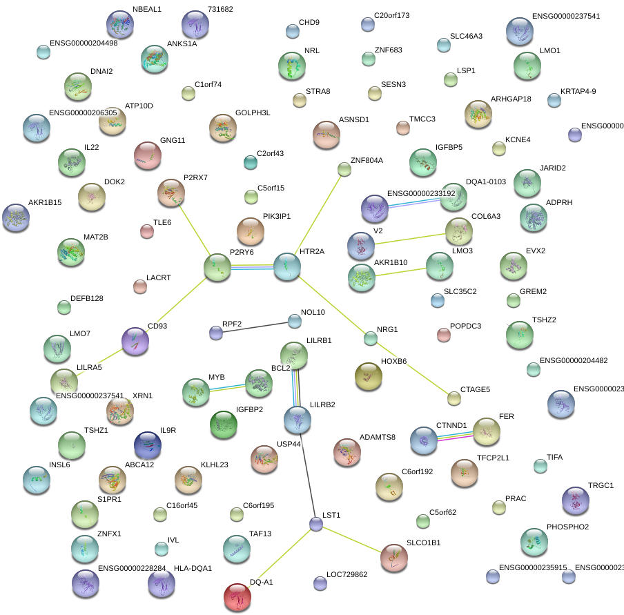 Network Of Associatons Between Targets According To - Circle (925x927), Png Download
