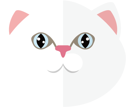 Whiskers Clipart Heart - Cat (568x567), Png Download