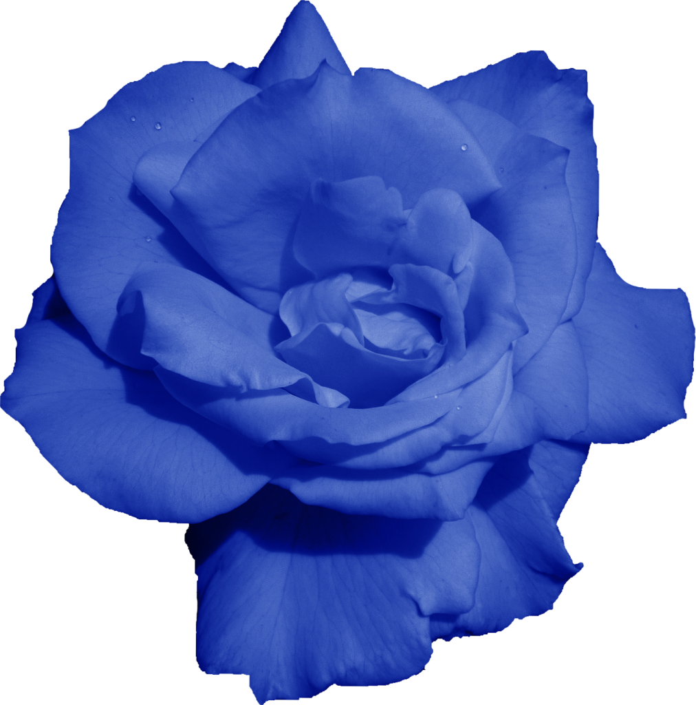 Png File Size - Message (1012x1024), Png Download