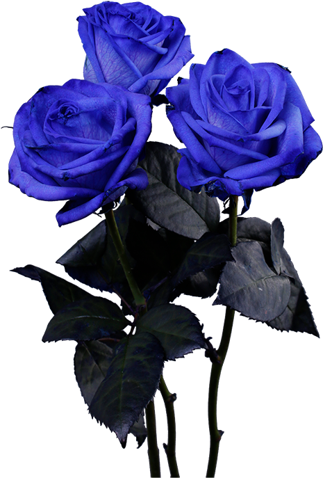 Instagram (640x686), Png Download