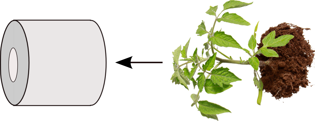 Put The Upside Down Planter On A Hook And Then Fill - Innovation In Healthy And Functional Foods By Dilip (1298x500), Png Download