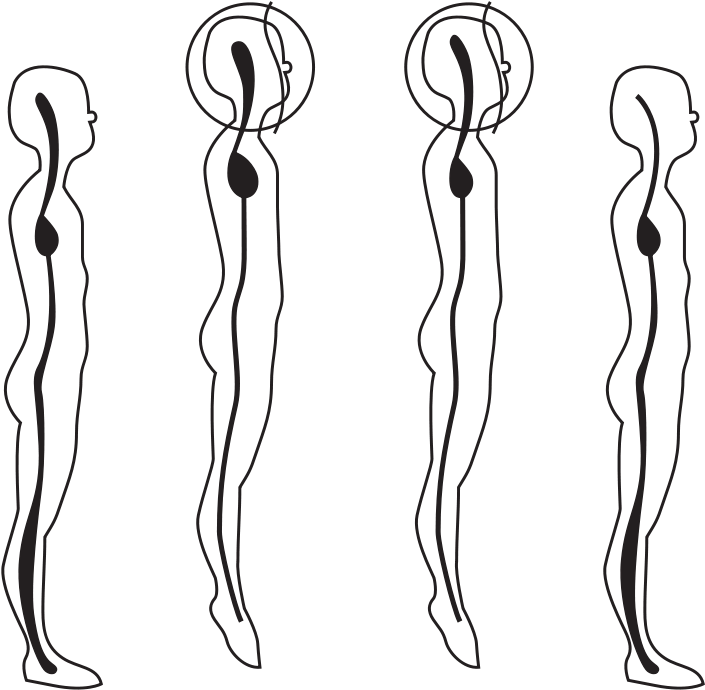 58294main The - Posture (800x782), Png Download