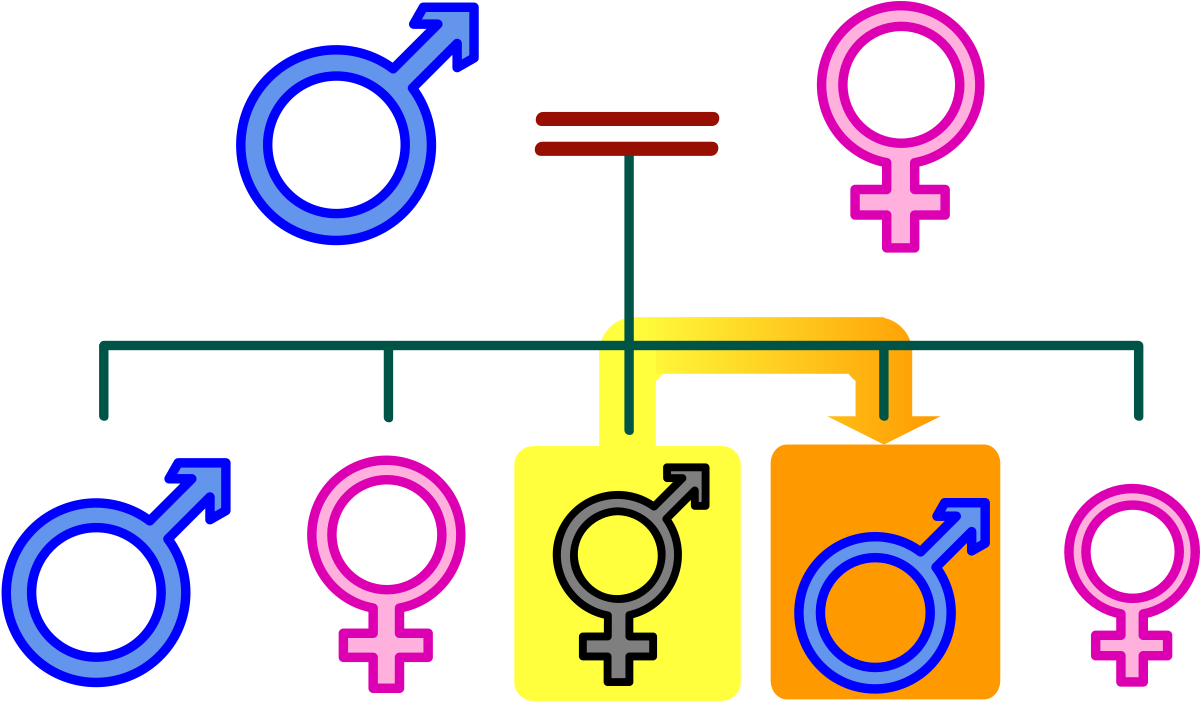 Nuclear Family (1200x755), Png Download