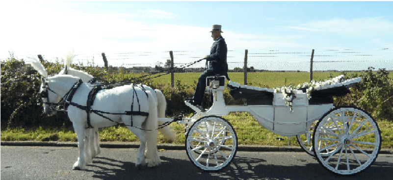 Horse And Buggy (800x800), Png Download