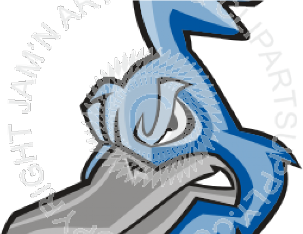 Roadrunner Clipart Head - Mascot (640x480), Png Download