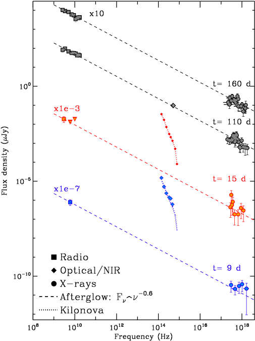 Evolution Of The Broad Band Radio To X Ray Sed Of Gw170817 - X-ray (510x708), Png Download