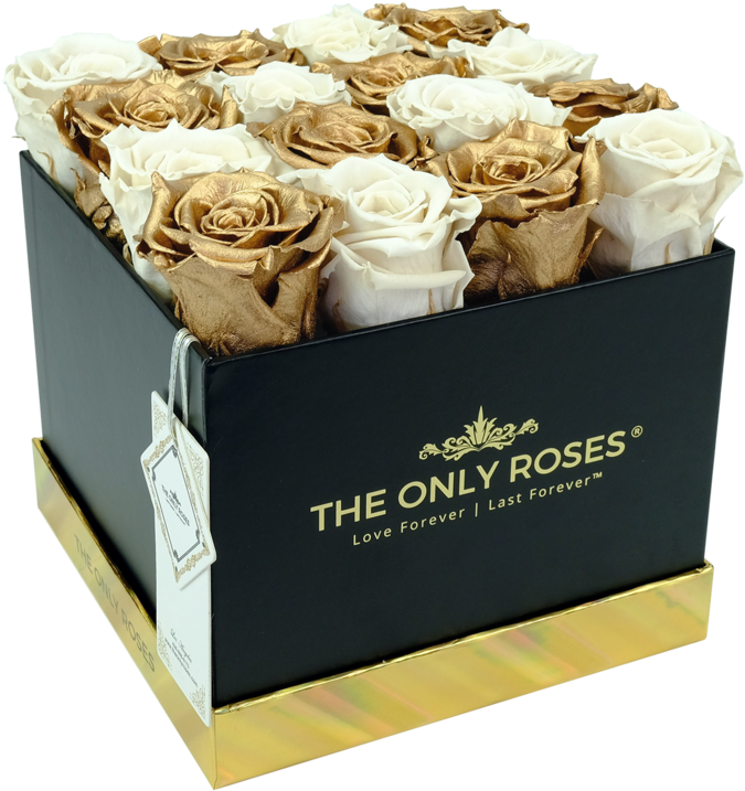 Square Black Huggy Rose Box - Rose (1200x1200), Png Download