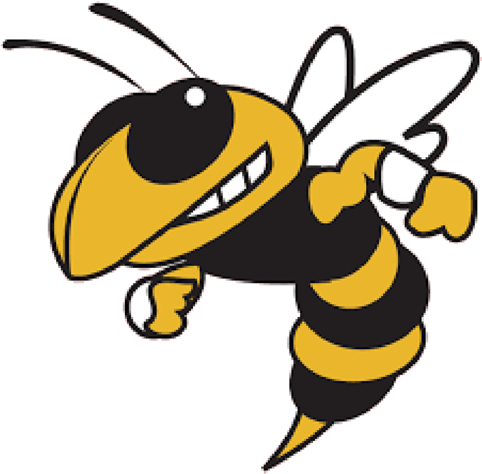 Georgia Tech Yellow Jackets Logo (750x750), Png Download