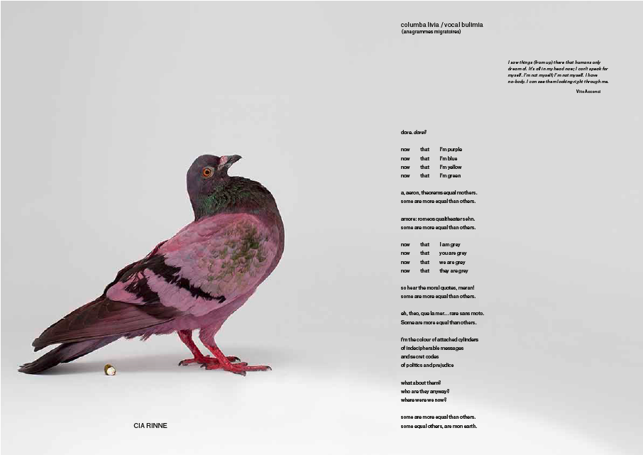 1/8 - Some Pigeons Are More Equal Than Others (1280x640), Png Download