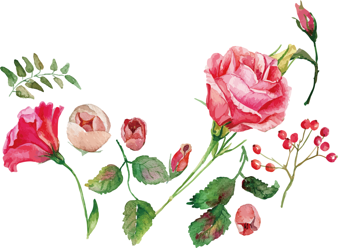 Watercolor Painting Flower Rose Royalty-free - Rose Vector Png Watercolor (1399x1029), Png Download