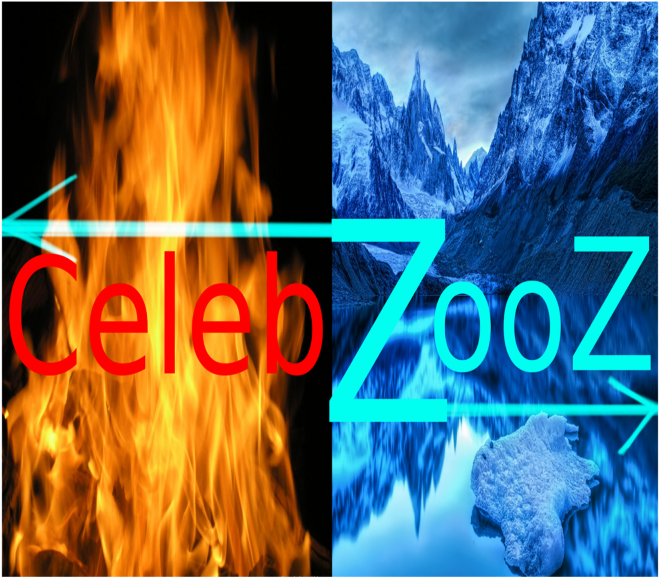 Celebzooz's Picture - Graphic Design (1024x640), Png Download
