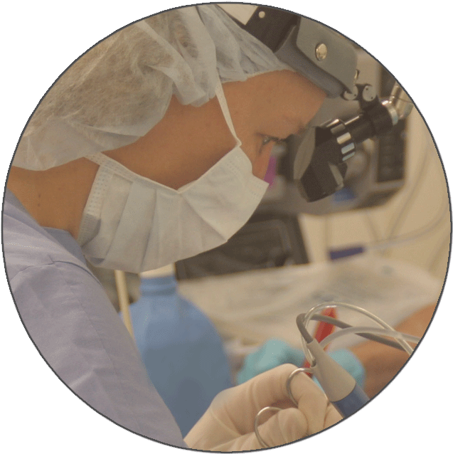 Starion Tonsillectomy - San Mateo (660x660), Png Download