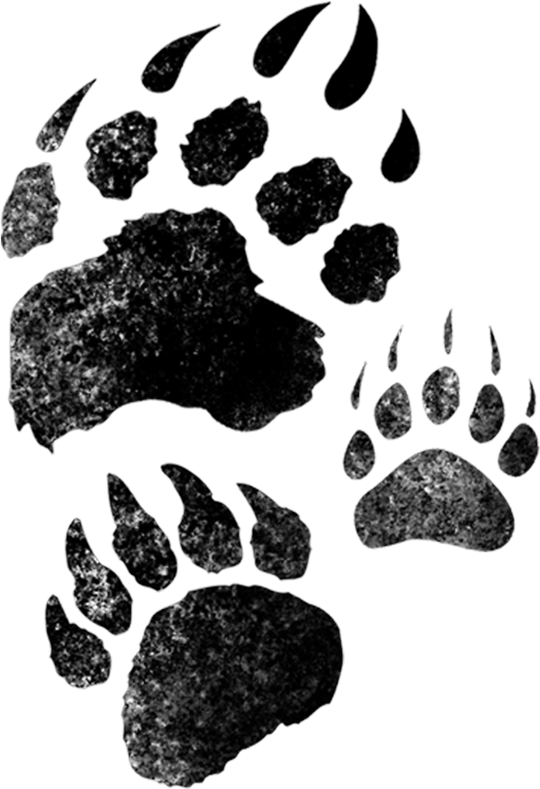 Sgfitfam - Paw, Bear Necessities Tote Bag (1080x1080), Png Download