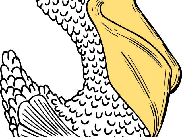 Duck Clipart Side View - Cartoon Pelican Shower Curtain (640x480), Png Download