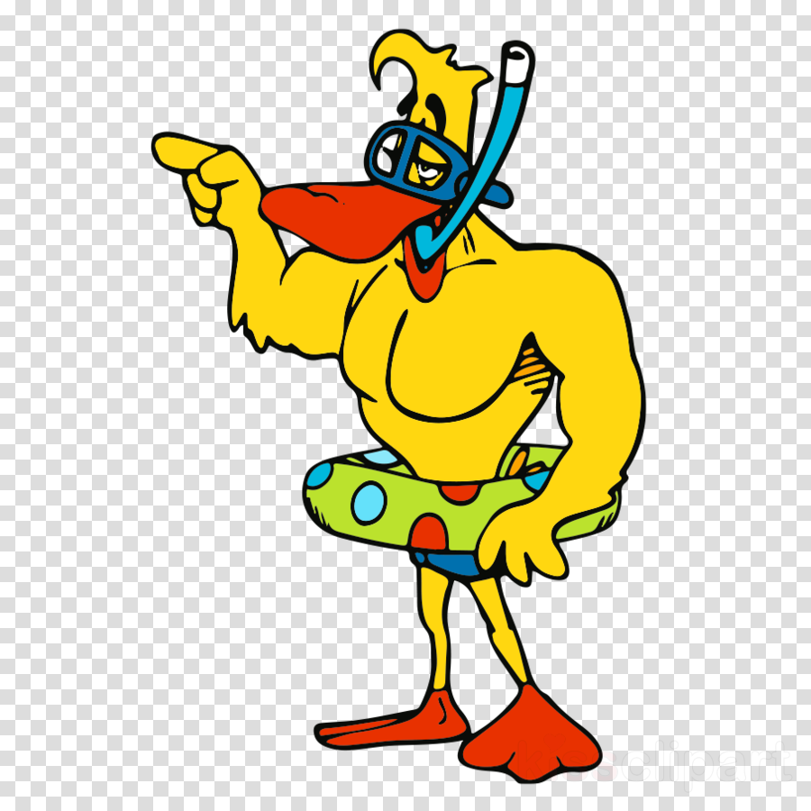 Aqua Ducks Clipart Water Filter Hot Tub Swimming Pools - Aqua-ducks (900x900), Png Download