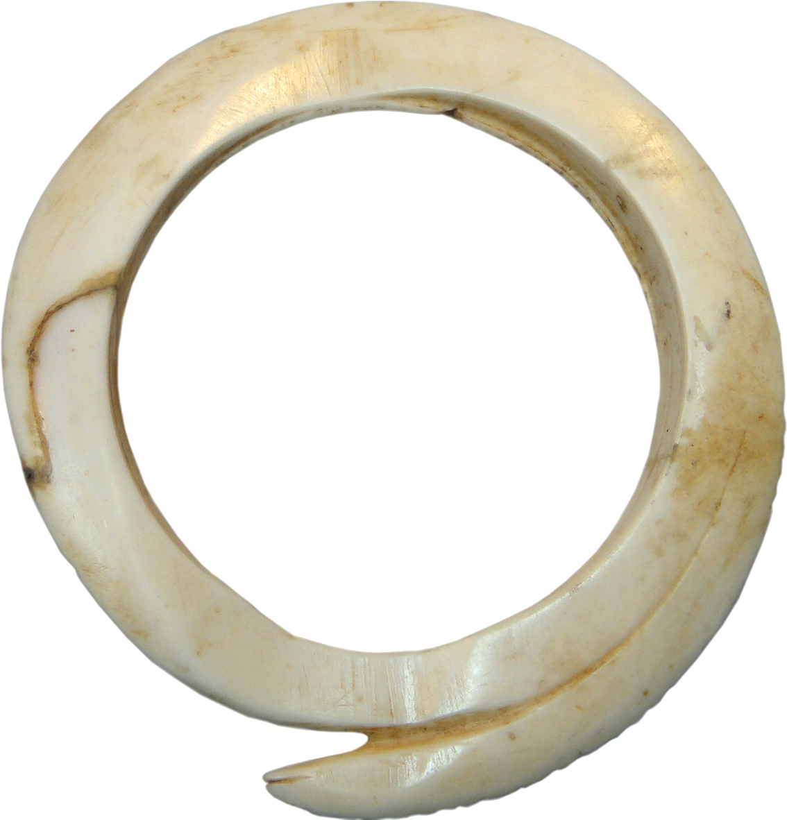 Papua New Guinea, Green River District, Kueruek Clam - Body Jewelry (1181x1181), Png Download