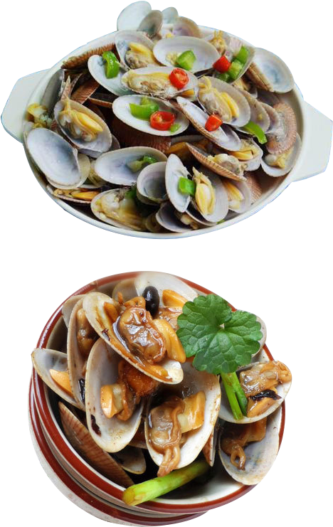 Clam Vector Mussel - Seafood (640x853), Png Download