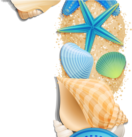 Clams Clipart Beach Shell - Shell (640x480), Png Download