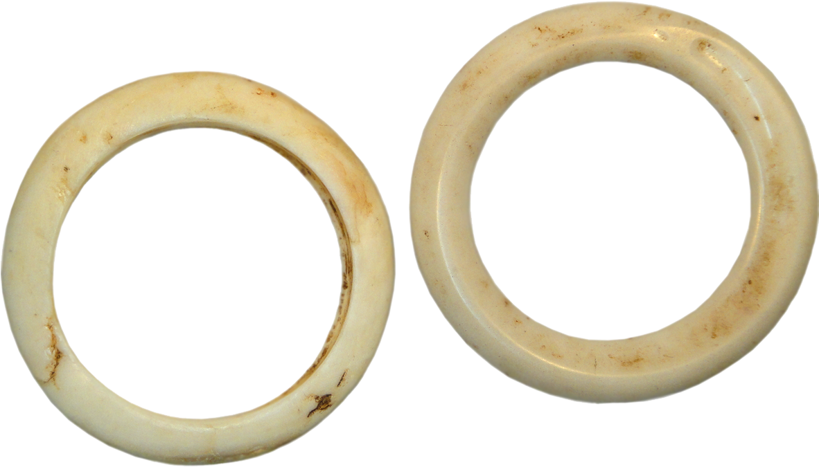 Papua New Guinea And Europe, Clam Shell Ring And Imitation - Papua New Guinea (1181x1181), Png Download