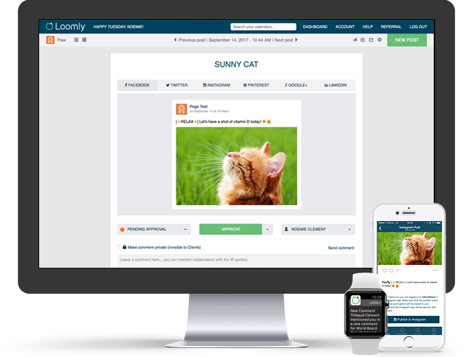 Social Media Calendars - Window Film Privacy Opaque Frosted Glass Film Oom 90*200cm (676x520), Png Download
