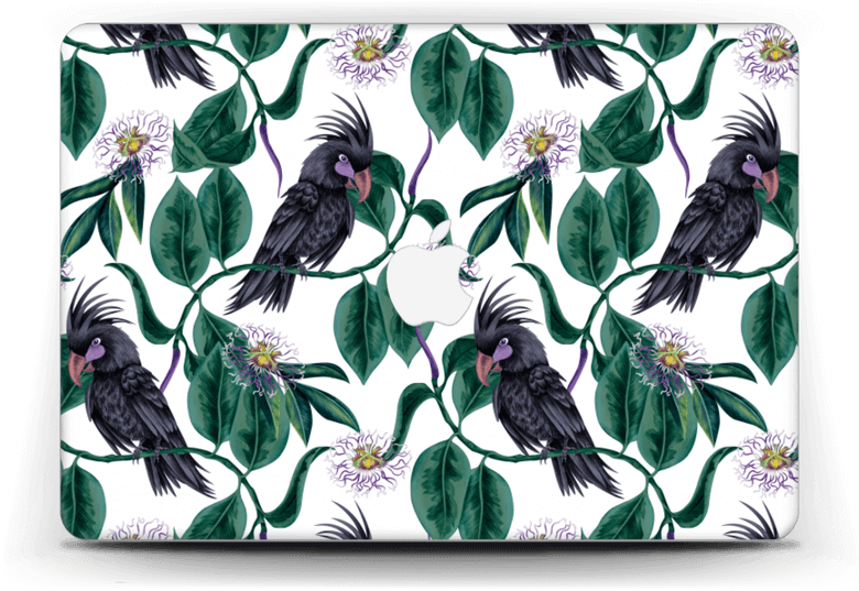 Flowers & Cockatoo Skin Macbook Air 13” - Apple Macbook Air (13", Mid 2017) (800x562), Png Download