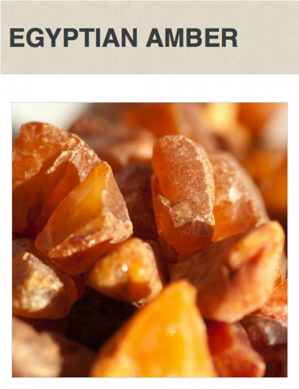 Egyptian Amber Fragrance Oil 1 Oz Bottle (800x800), Png Download