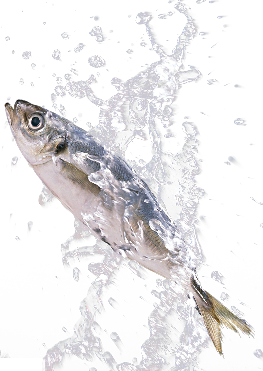 Png Download In The Splash - Fish Splash Png (909x1280), Png Download