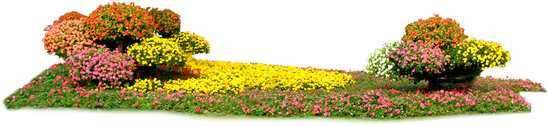 Floral Design Rectangle Transprent - Flowerbed Png (1200x600), Png Download