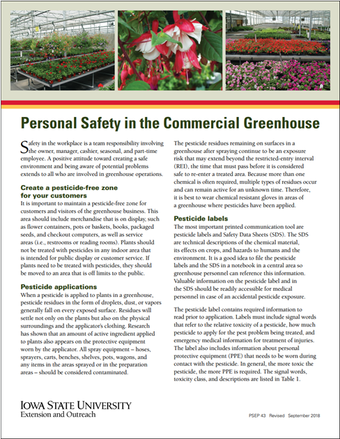 Orchid (1200x630), Png Download