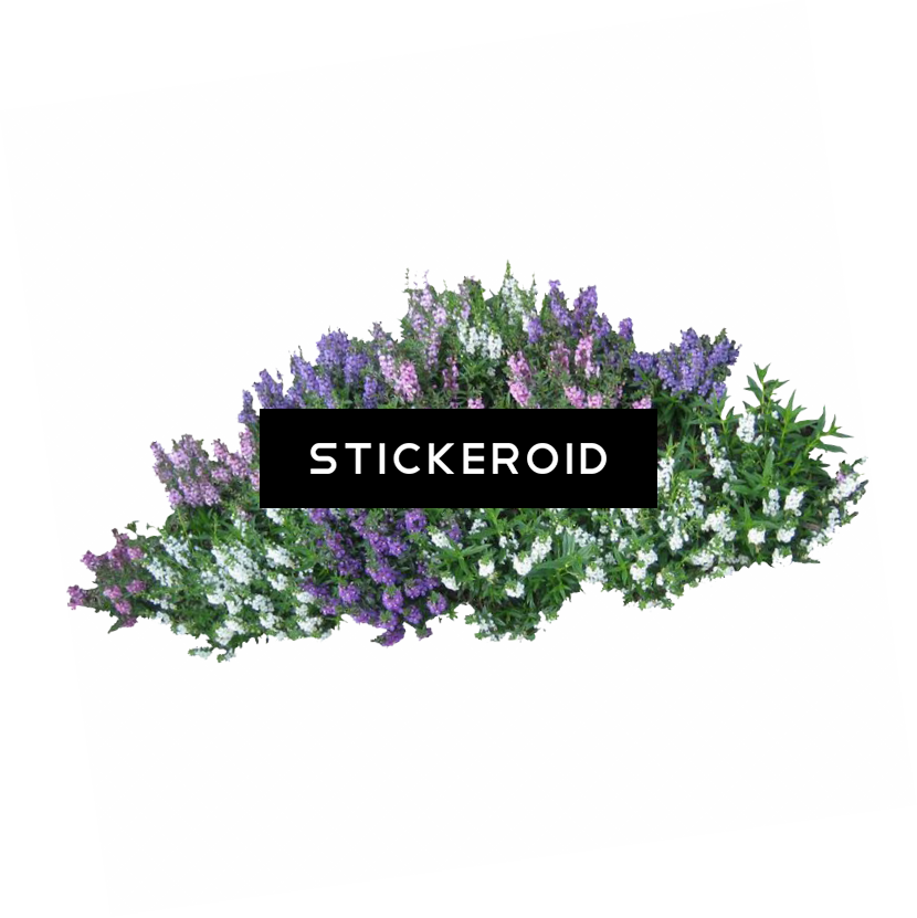 Bushes - Arbustos Png Para Renders (830x831), Png Download