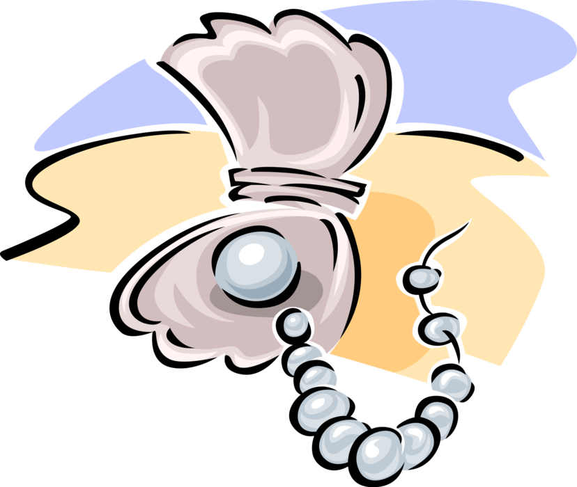Clam Vector Pearl Illustration - Matthew 13 44 45 Activity Pages (828x700), Png Download