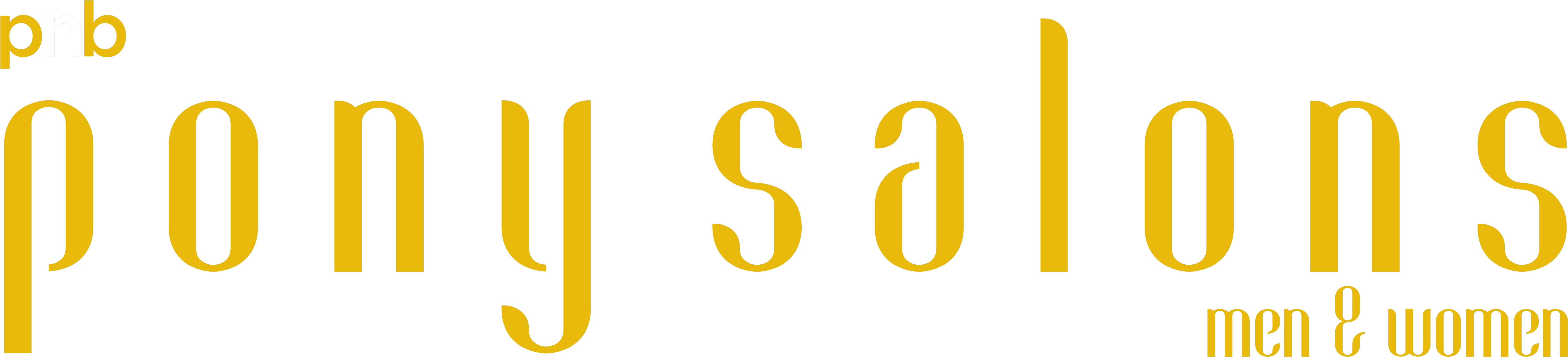 Download Pnb Pony Salons Pnb Pony Salon PNG Image with No Background