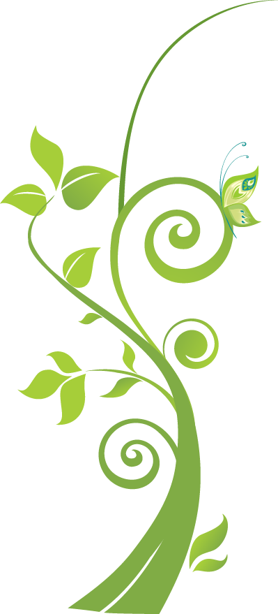 Baby Photography (399x879), Png Download