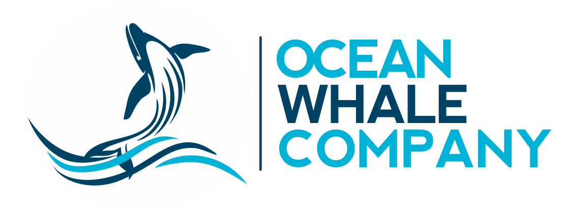 Humpback Whale Png (1124x430), Png Download