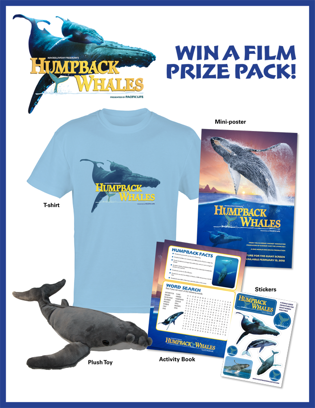 Giveaway - Humpback Whales (650x841), Png Download