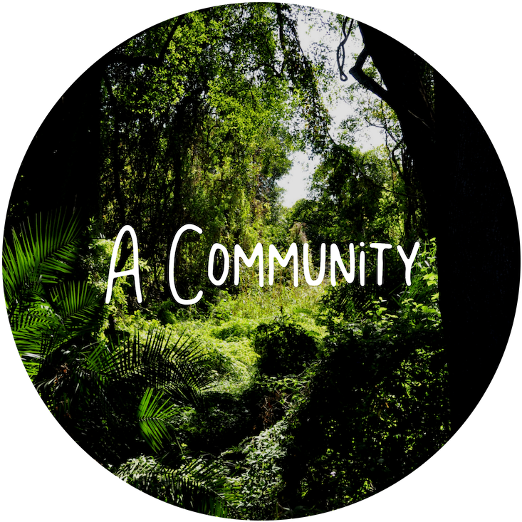 You'll Get The Chance To Become Part Of A Lively Group - Travellers: Journey Into A Dark World (800x800), Png Download