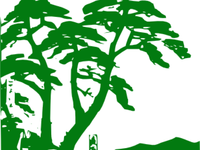 Jungle Clipart Jungle Tree - Tropical Rainforest Clipart (640x480), Png Download