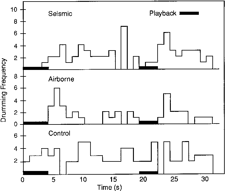 A Typical Example Of Footdrumming Responses In Adult - Sound (731x620), Png Download