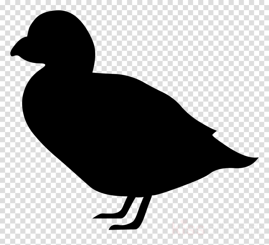 Duck Silhouette Transparent Clipart Goose Duck Bird (900x820), Png Download