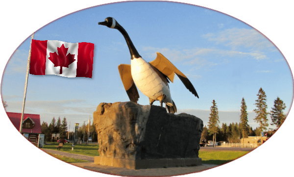 The Wawa Goose (600x600), Png Download