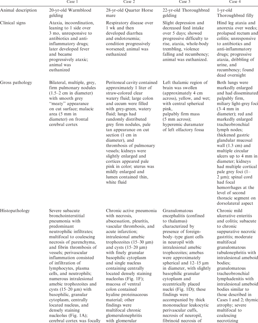 Infections With Acanthamoeba Sp - Document (850x1064), Png Download