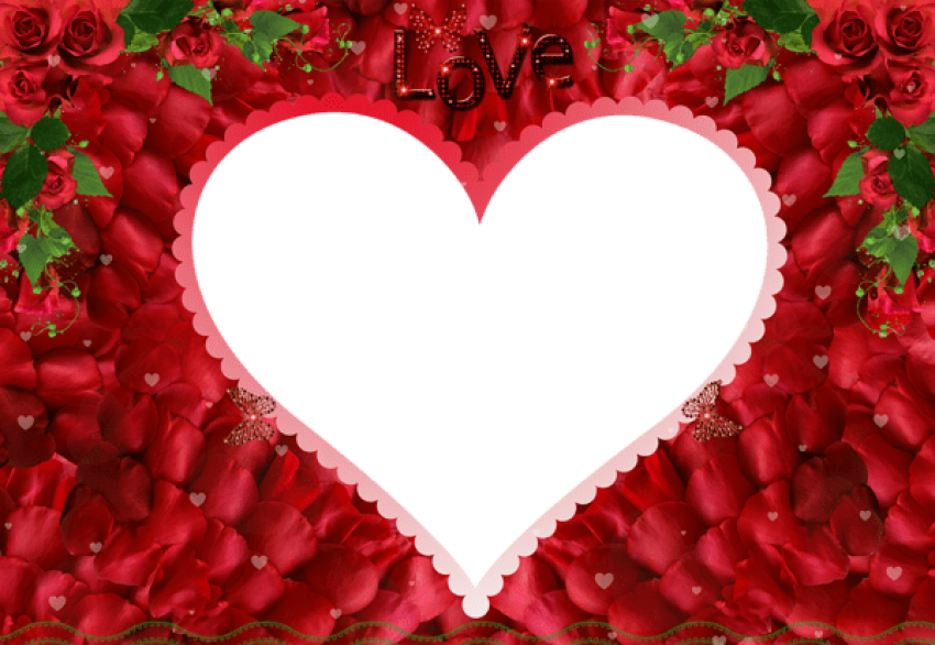Free Png Love Rose Redphoto Frame Png Images Transparent - Love Rose Image Png (850x586), Png Download