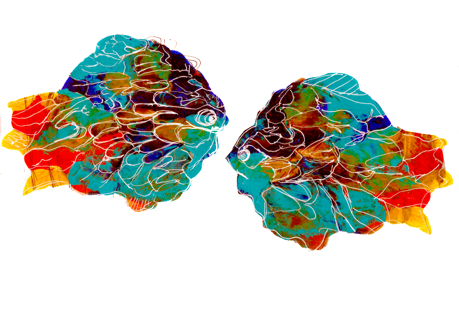 I K A N - Earrings (1024x726), Png Download