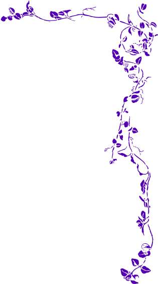 Vine Border Png (600x565), Png Download