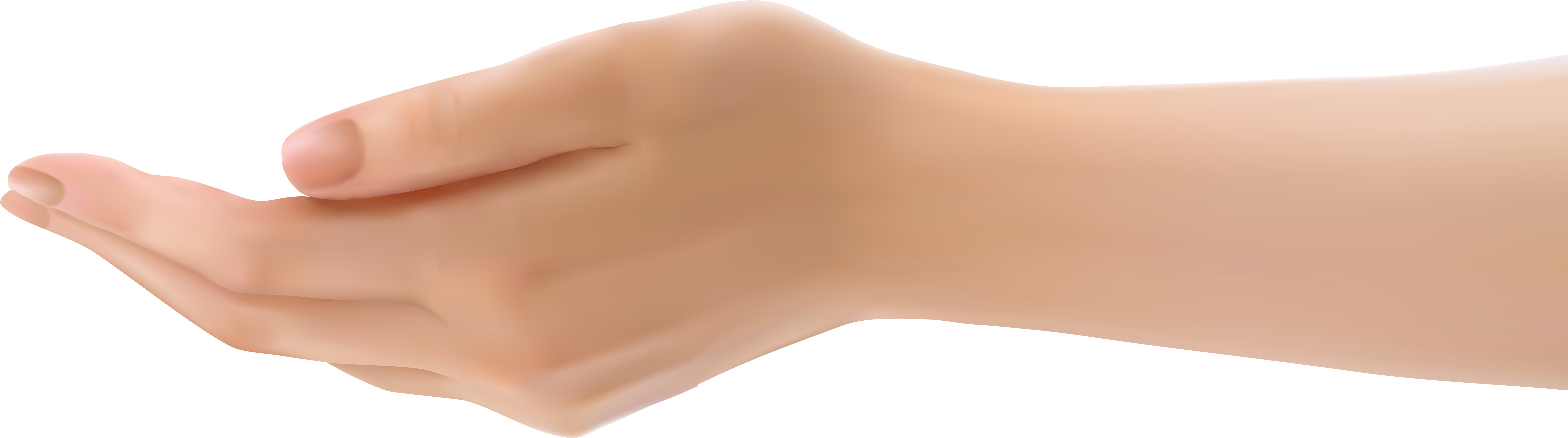Openclipart (8000x2294), Png Download
