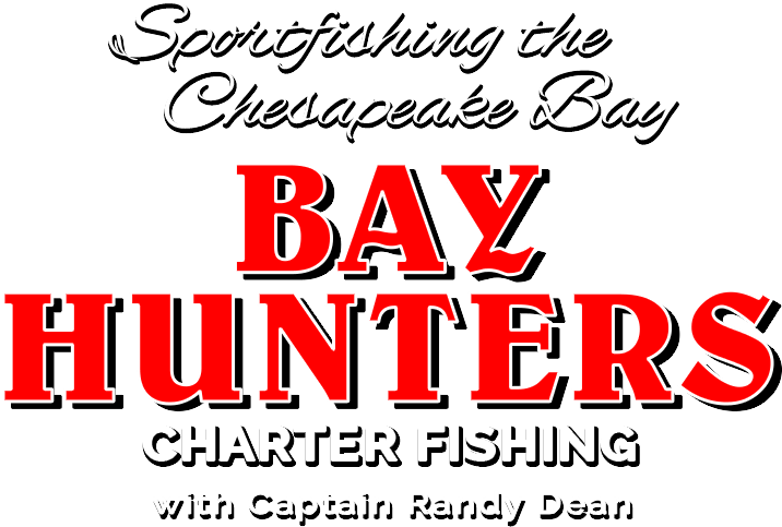 Annapolis Charter Fishing (748x568), Png Download